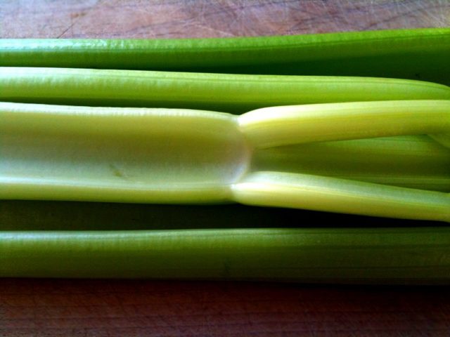 1-celery-stalks